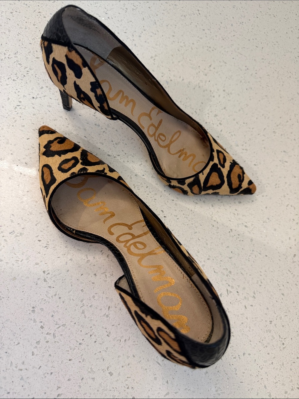 Sam Edelman Leopard-Print Pointed Toe Pumps - Tan & Black - Picture 3 of 5